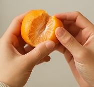 귤껍질 음식물쓰레기