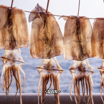 오징어 삶는 방법