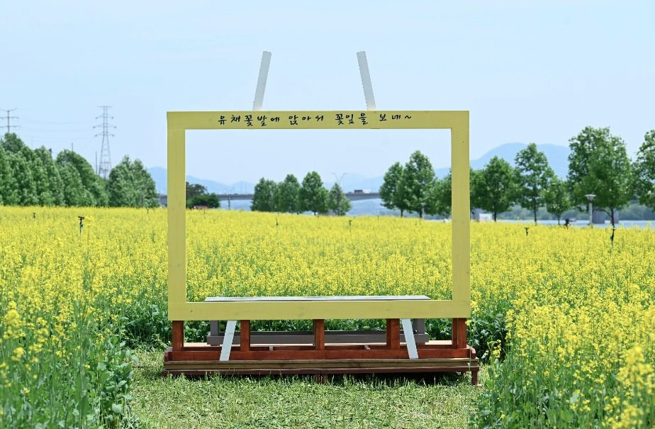 2025 구리 유채꽃축제