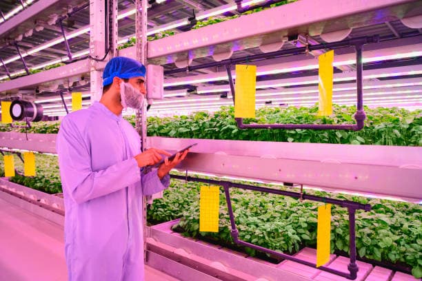 세계의 스마트 도시 농업 프로젝트: 어디까지 왔나?