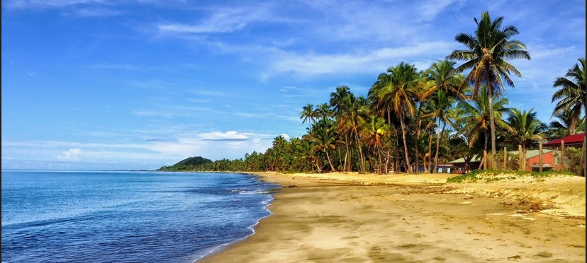 푸른 바다 푸른 하늘 해변 모래사장 야자나무들이 보이는 사진