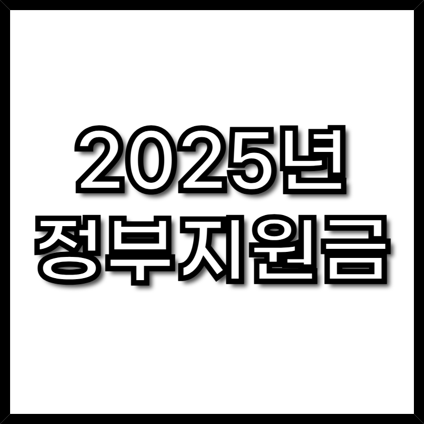 2025년 정부지원금