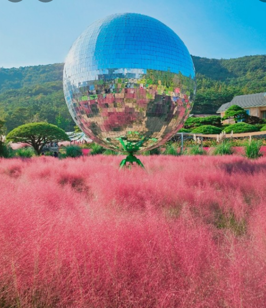 10월 가을축제 BEST 5