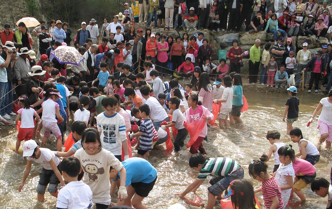 2025 금산 보곡산골 산벚꽃축제 일정 맛집 주차 꿀팁 정리