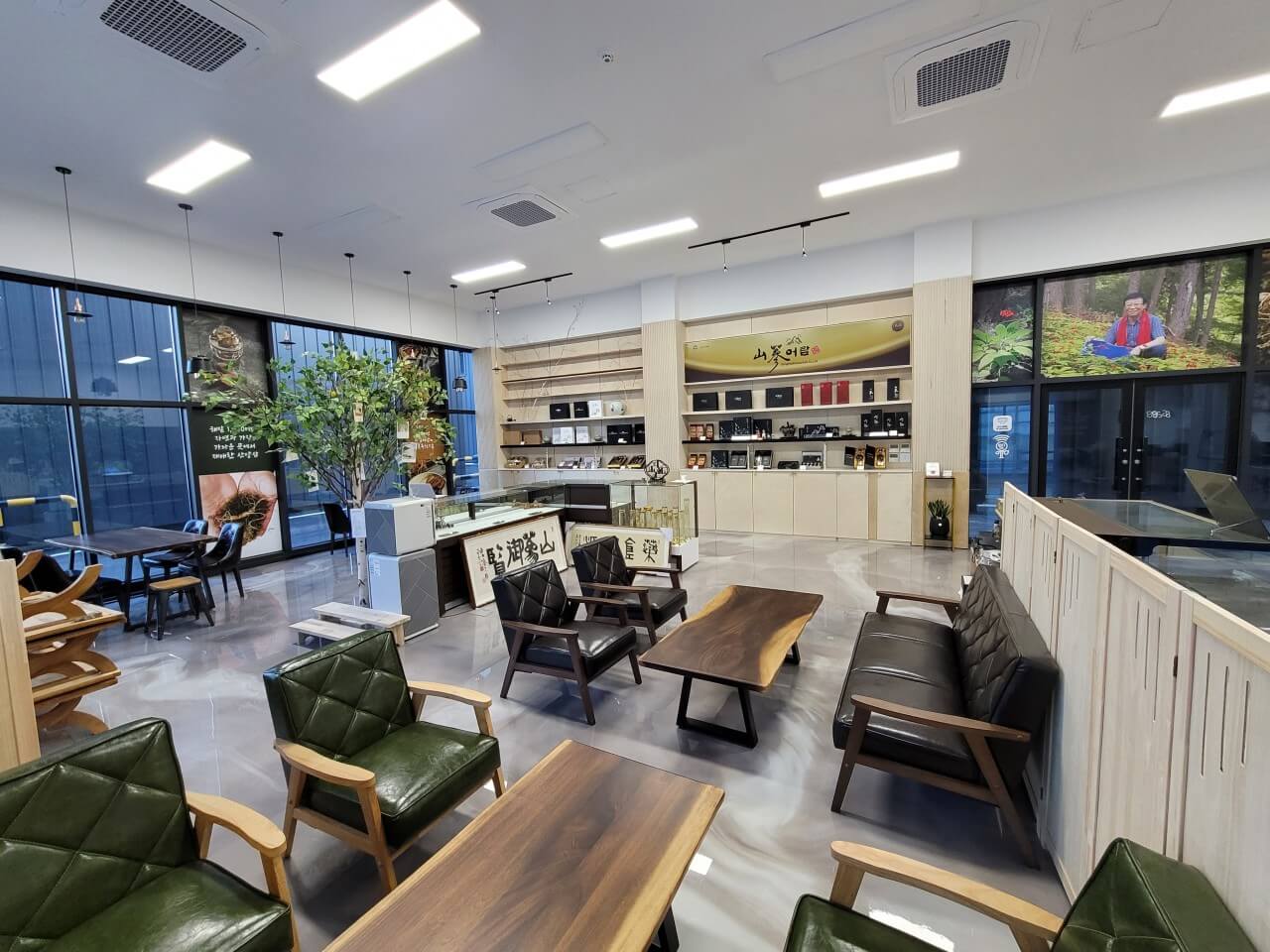 6시내고향 강원 평창 산양삼 구매방법 산삼어람