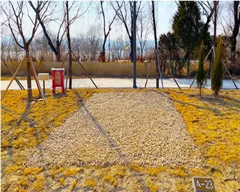 난지캠핑장 일반 캠핑존