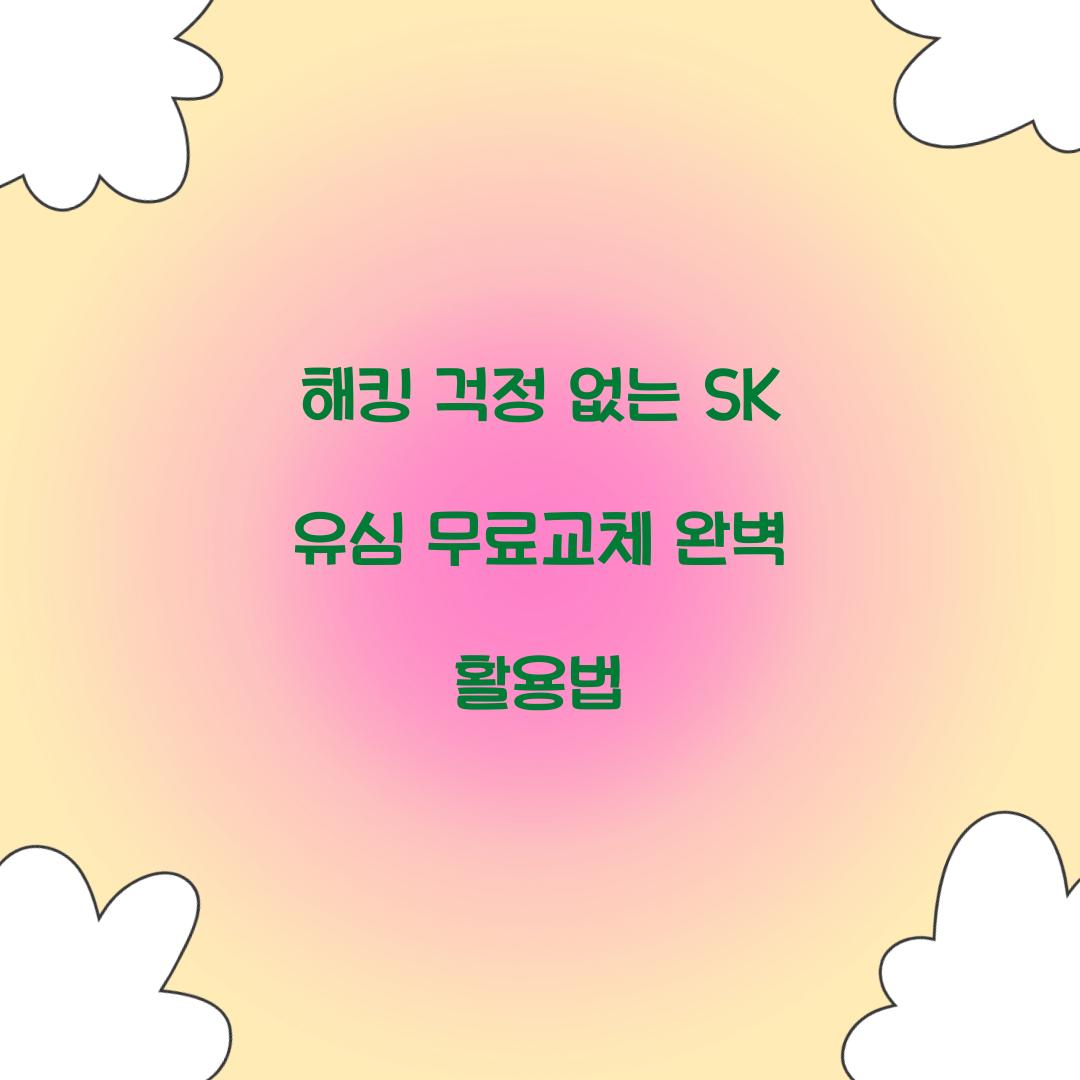 해킹 걱정 없는 SK 유심 무료교체 활용법