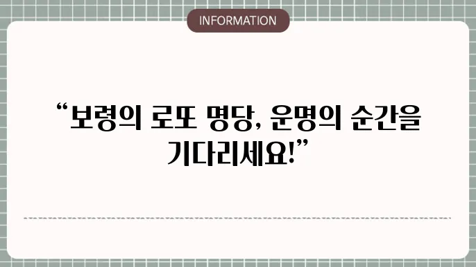 보령 로또 명당