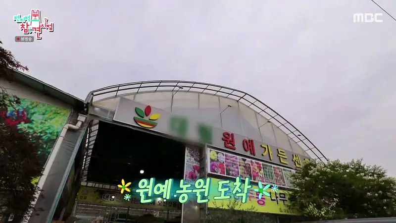 전참시 전지적참견시점 정재형 다니는 꽃집 관상수 식물 화훼 원예 농원 촬영한 곳 서초 내곡동 어디 추천 소개