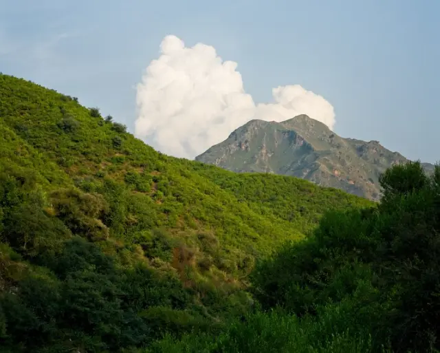 임업직불금 신청