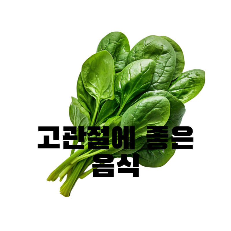 고관절에 좋은 음식