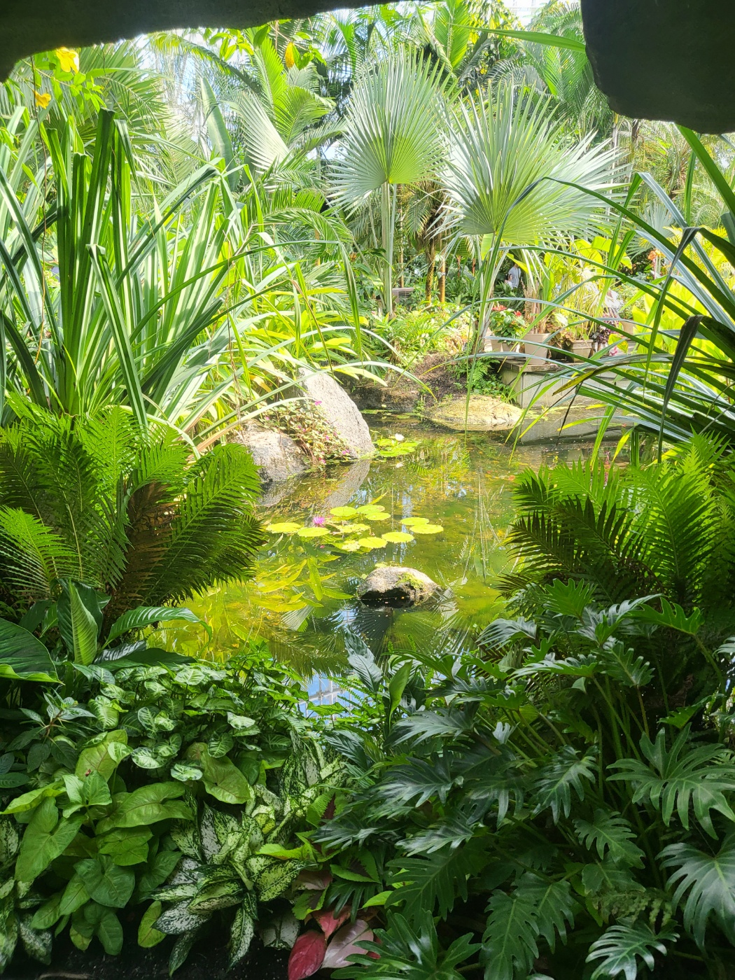 세종 아이와 가볼 만 한 곳 (세종수목원)