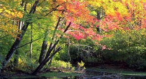 되다 돼다 시간되 시간돼