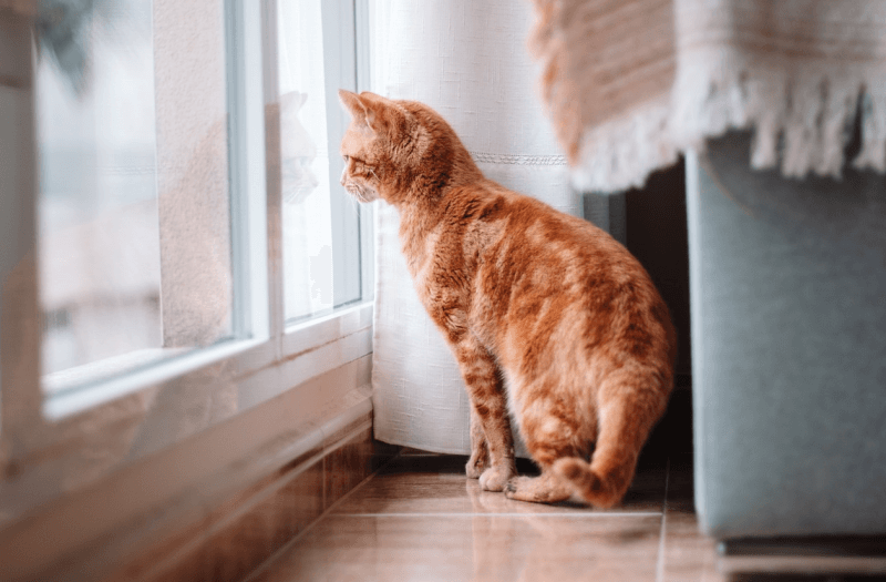 환절기 만성 기관지염에 도움 되는 음식