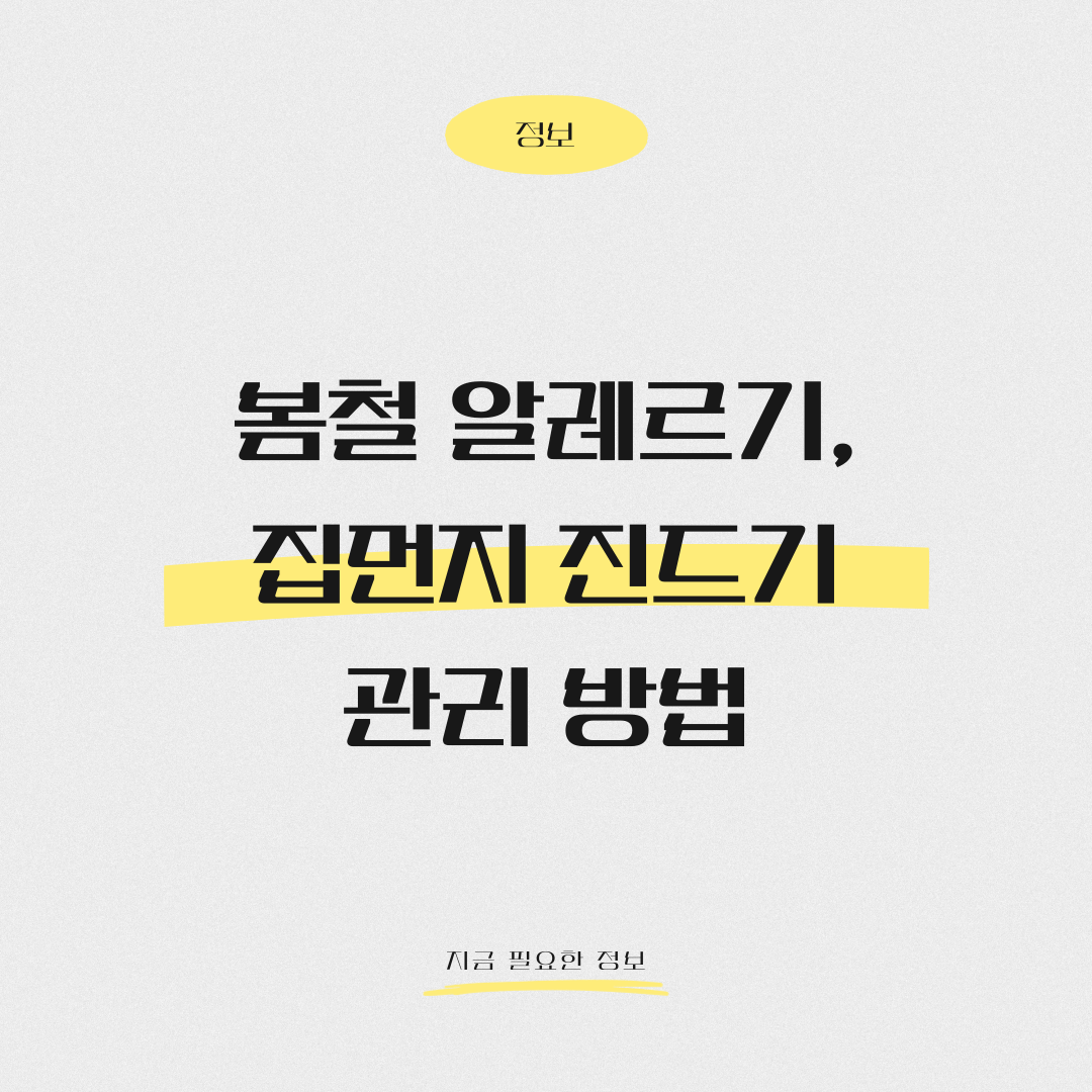 봄철 알레르기 원인, 집먼지 진드기 관리 방법