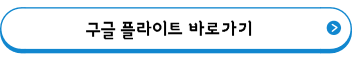 구글 플라이트 바로가기