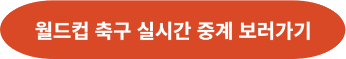 월드컵 실시간 중계