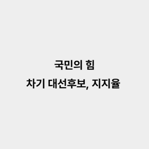 국민의 힘 차기 대선후보 지지율