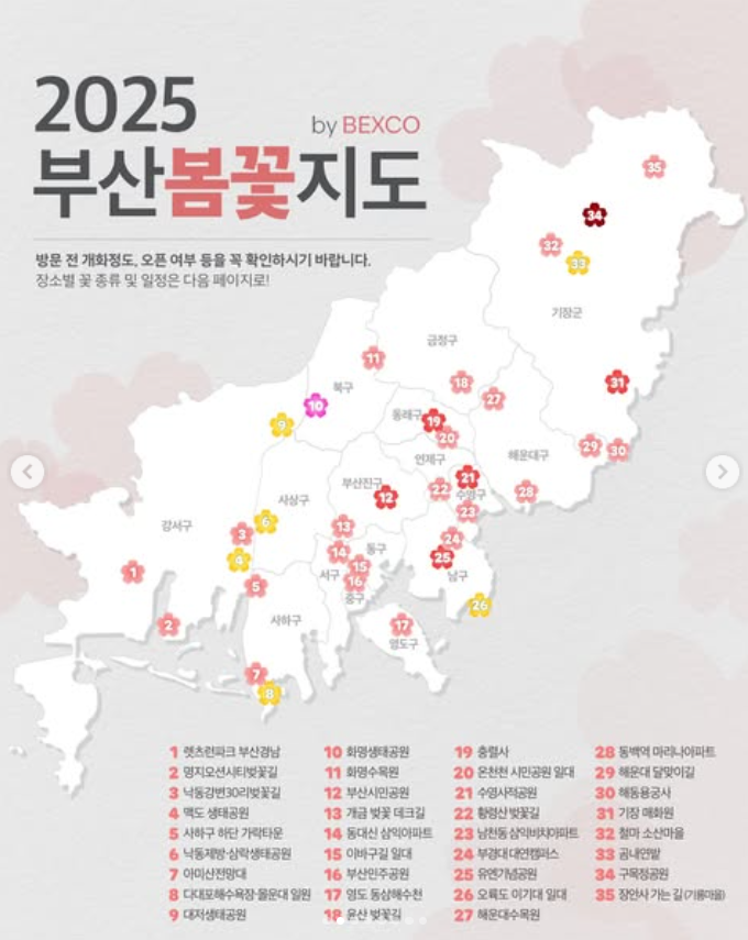 2025 부산 봄 꽃구경 지도