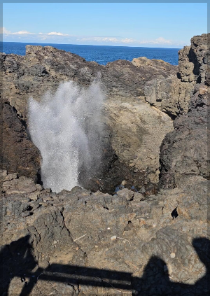 호주 하나투어 패키지여행 관광지 가 볼 만한 곳