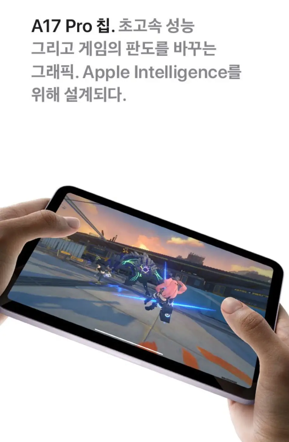 사진8