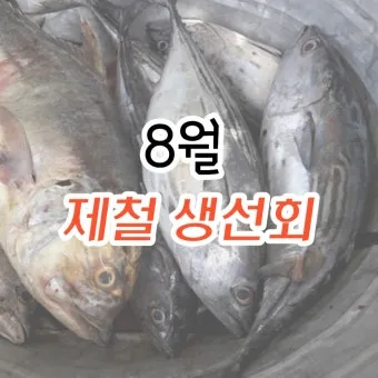 8월 제철 해산물과 7월 제철 해산물 종류 및 주의사항_2