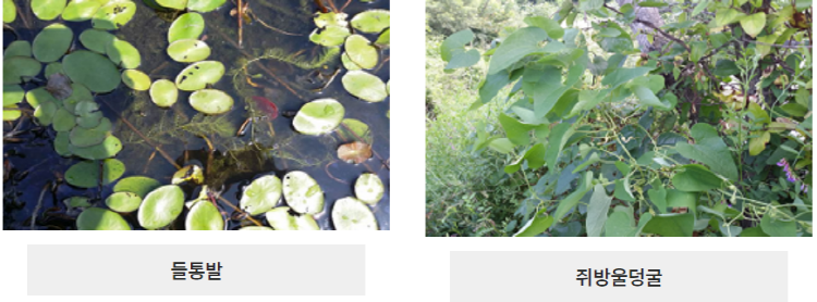 문경 돌리네습지