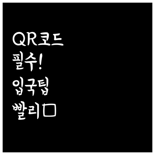 중국 입국심사 빠르게 통과하는 QR ..