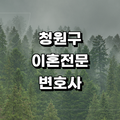 청주 청원구 이혼 변호사