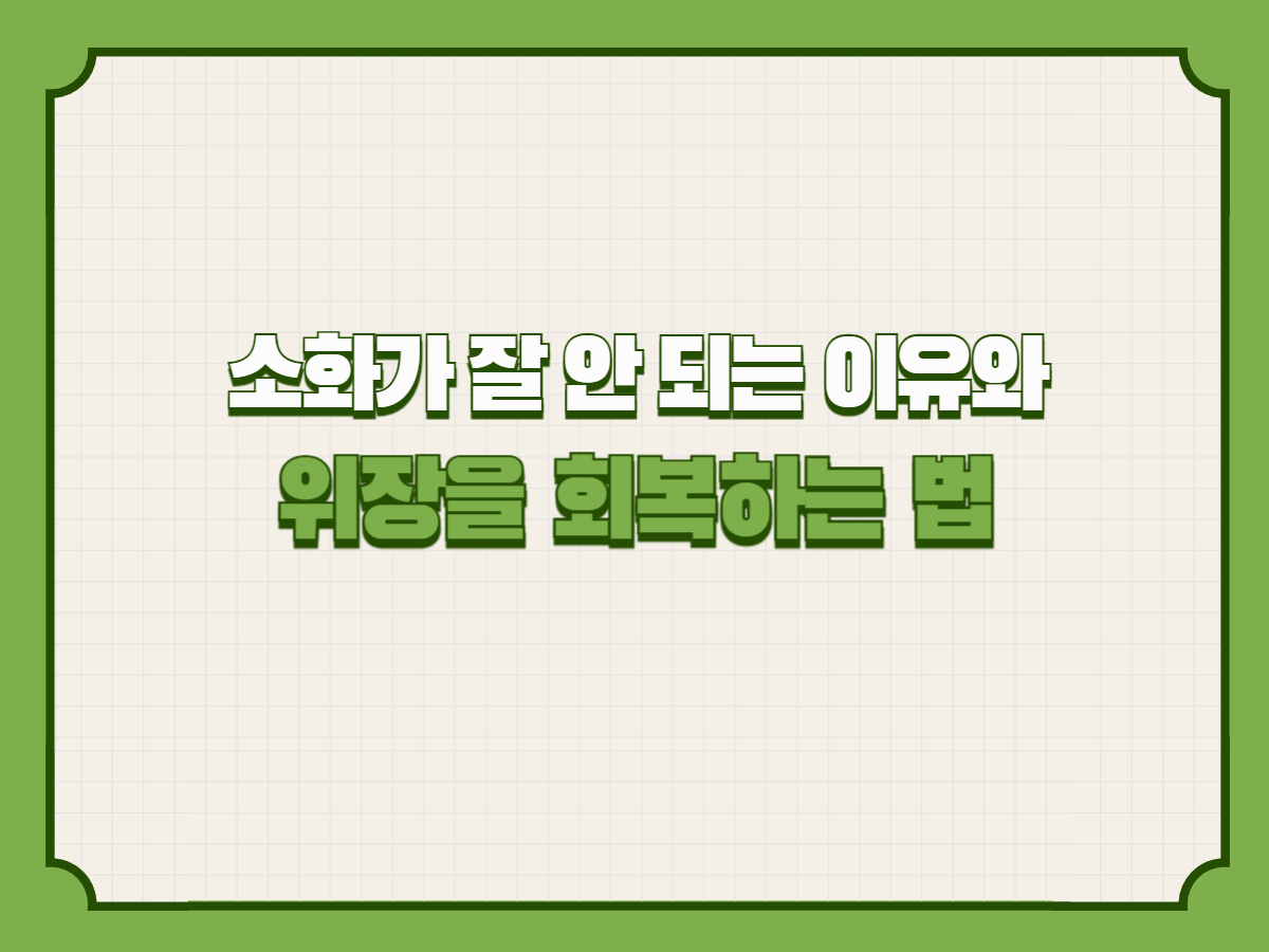 소화가 잘 안 되는 이유와 위장을 회복하는 법