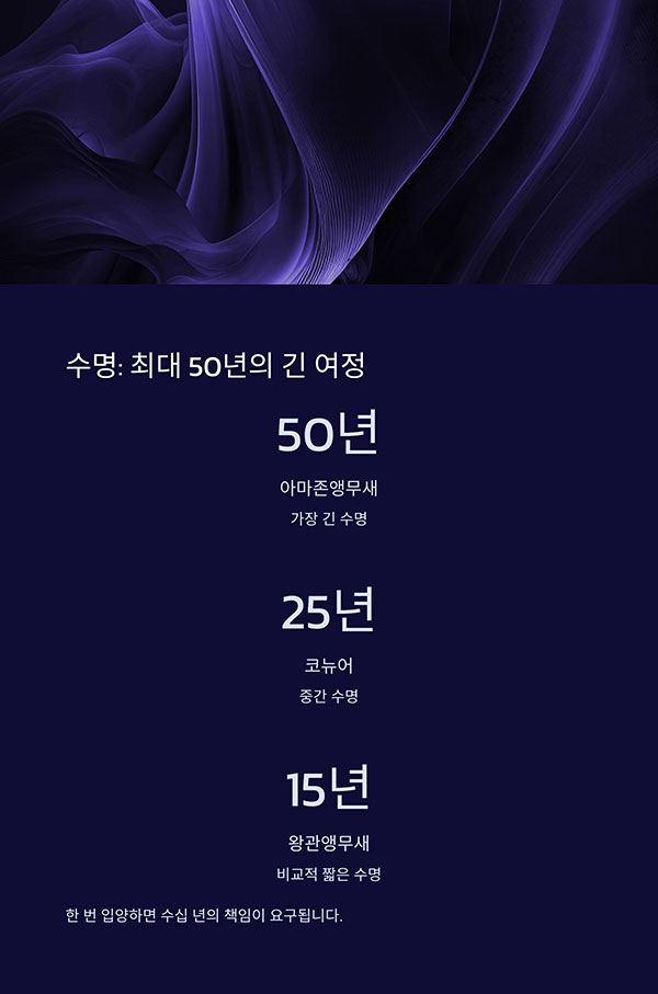 평균 수명과 책임 기간