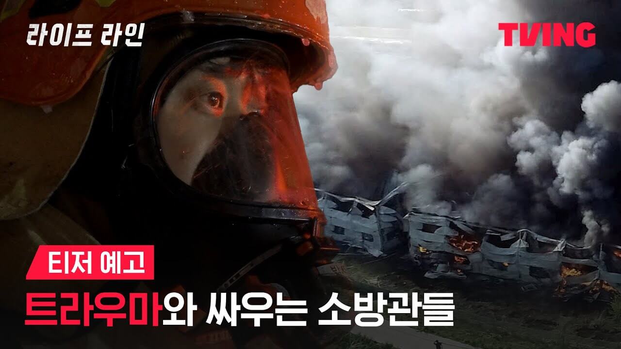 라이프 라인