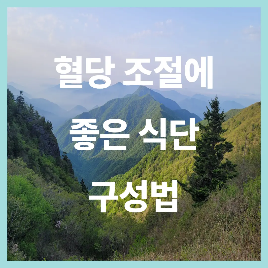 혈당 조절에 좋은 식단 구성법: 은퇴 세대의 건강한 노년을 위한 현명한 밥상!