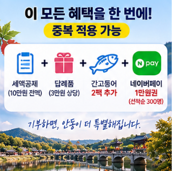 고향사랑기부 10만원 세액공제 