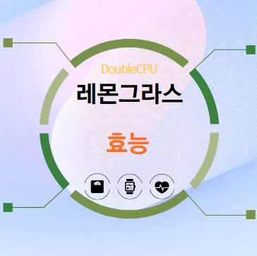 레몬그라스 5가지 효능