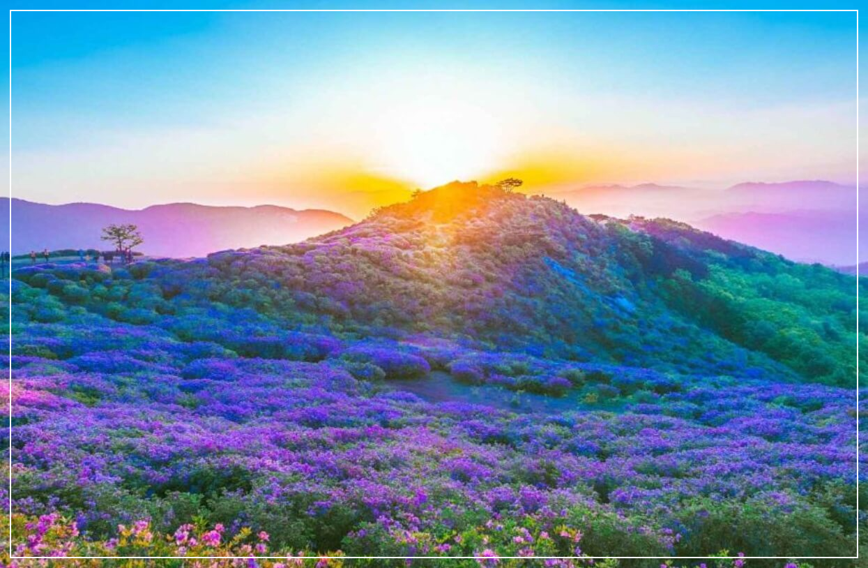 합천 가볼만한곳 베스트10 황매산