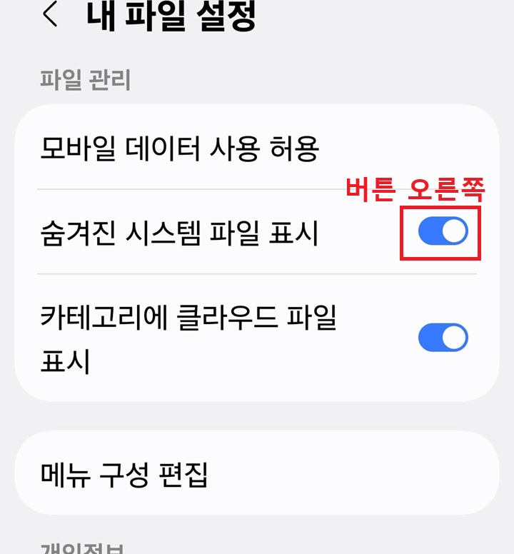 숨겨진 시스템 파일 표시 메뉴 보임