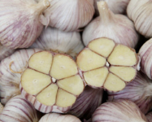 마늘 먹는 꿈 마늘 쪼개는 꿈 마늘 캐는 꿈