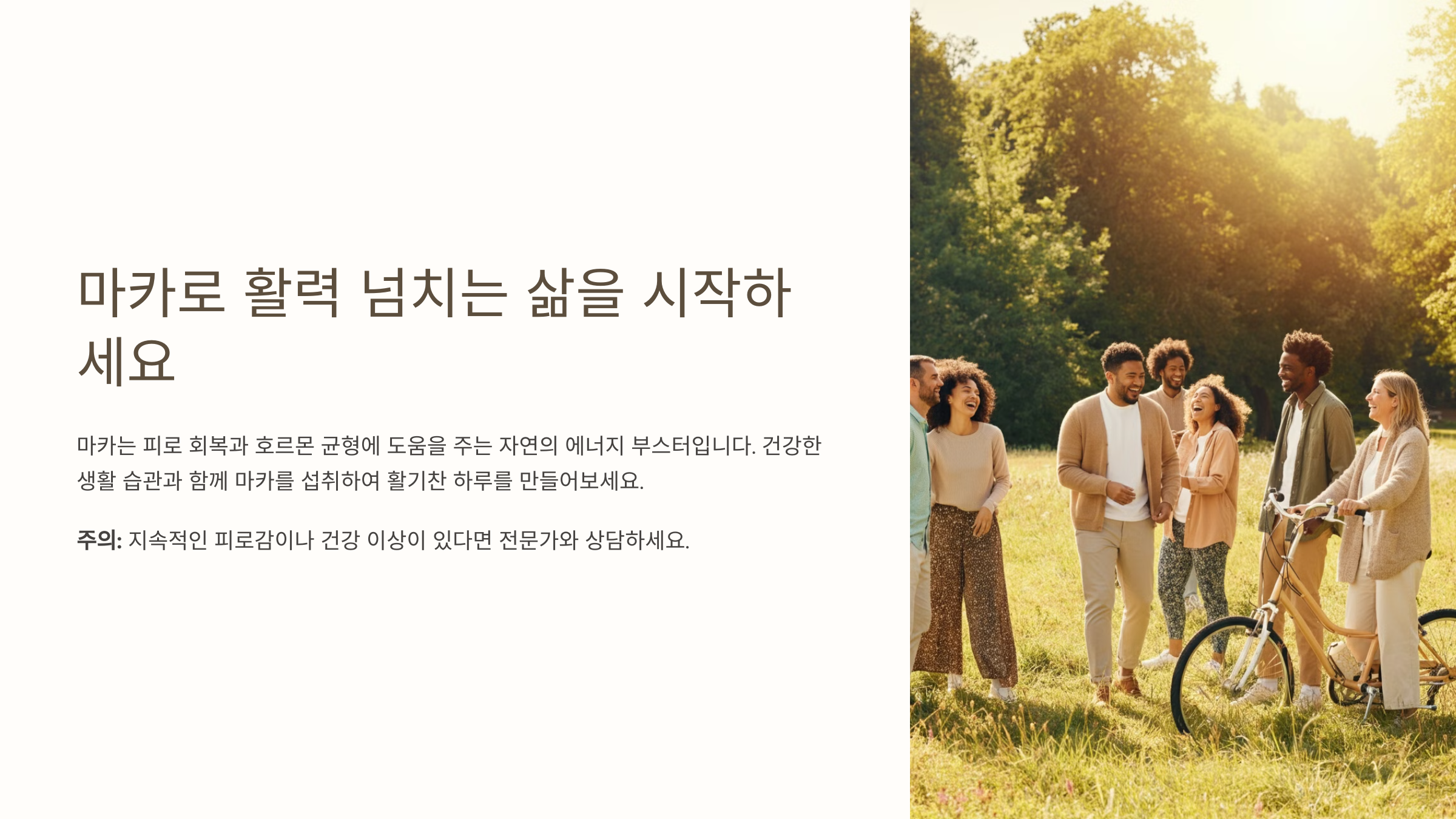 마카 효능 총정리! 활력과 스테미너를 위한 슈퍼푸드