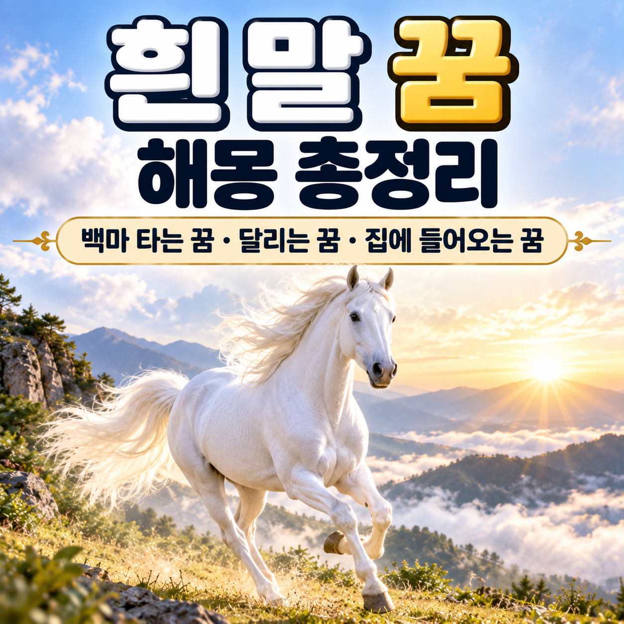 흰 말 꿈