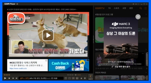 곰플레이어 실행