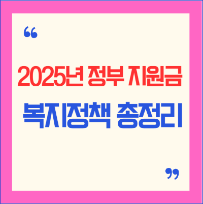 2025년 정부 지원금