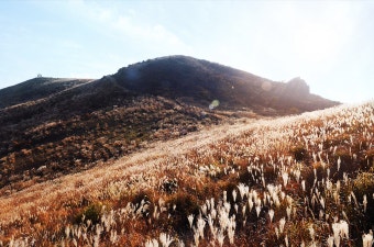 황매산 억새축제