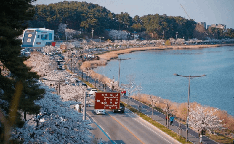 강릉 가볼만한곳 베스트10