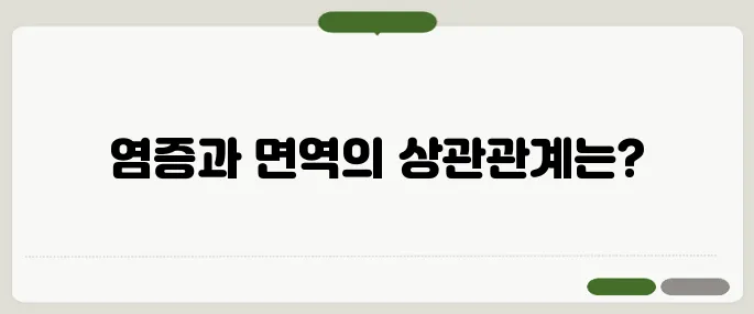 염증에 좋은 음식 면역력 높이는 식단
