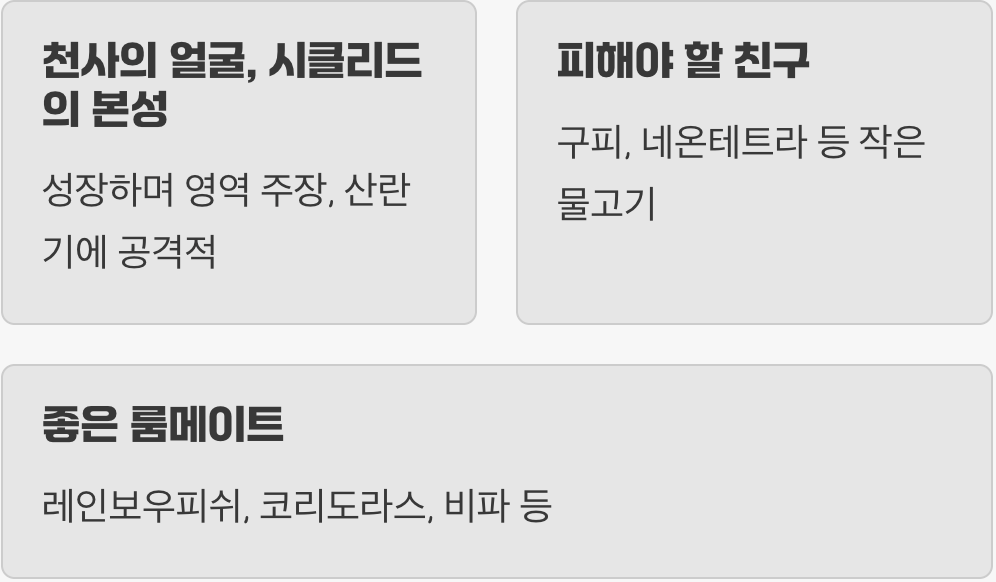 합사 - '천사'의 얼굴을 한 작은 악마?