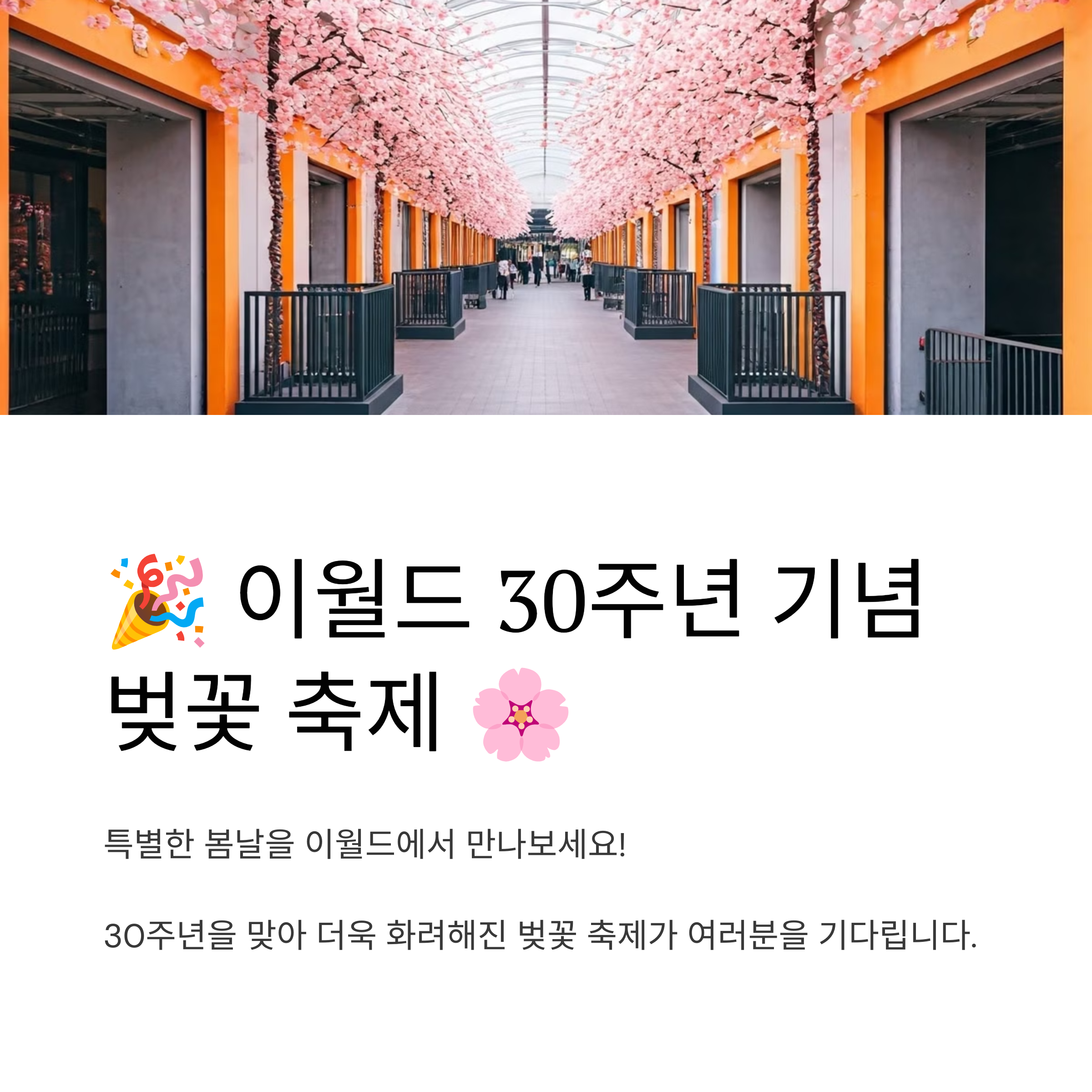 이월드 30주년 기념! 벚꽃 축제에서 만나는 특별한 봄날