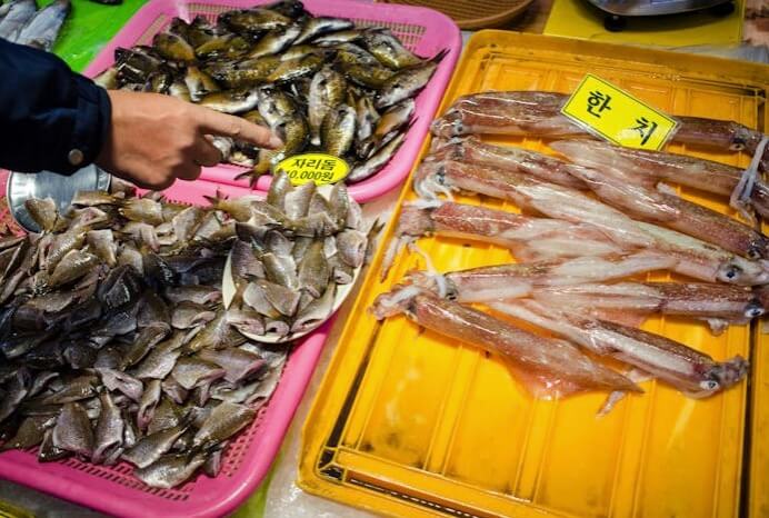 5월-수산대전-가정의달-특별전-수산시장-수산물