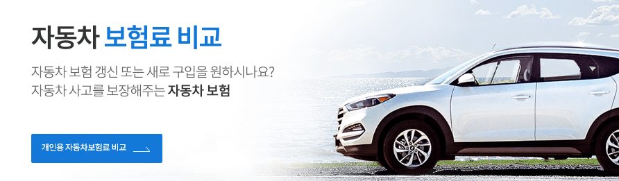자동차 보험료 비교