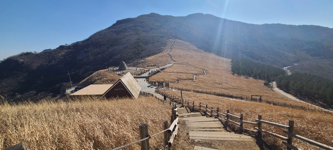 영남알프스 사자평고원 억새